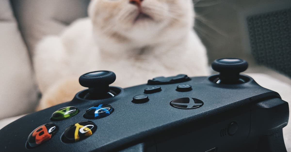 No Rest for the Wicked Xbox Delay: Dev Blames Series S Limitations