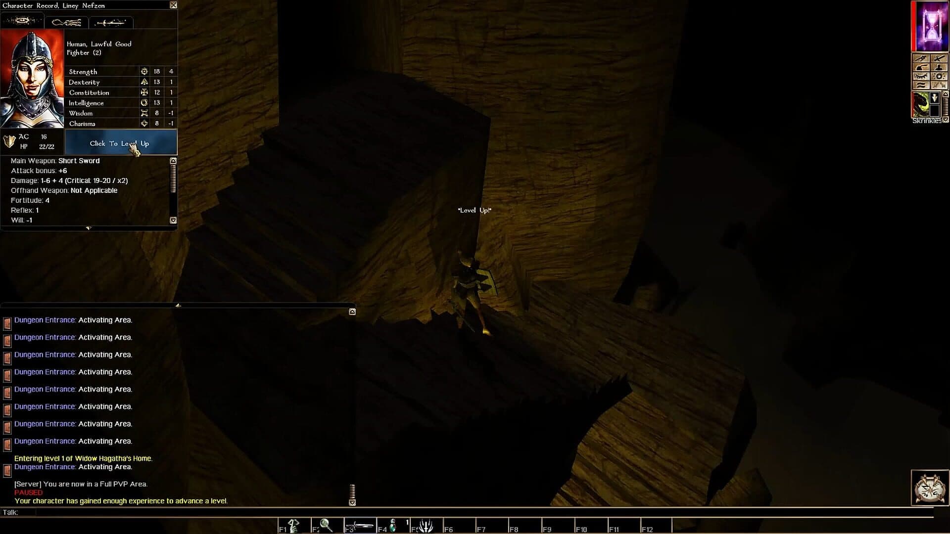Neverwinter Nights: Infinite Dungeons
