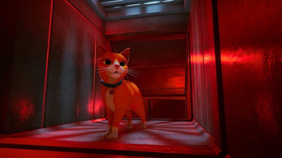 Schrodinger's Cat Burglar screenshot 5