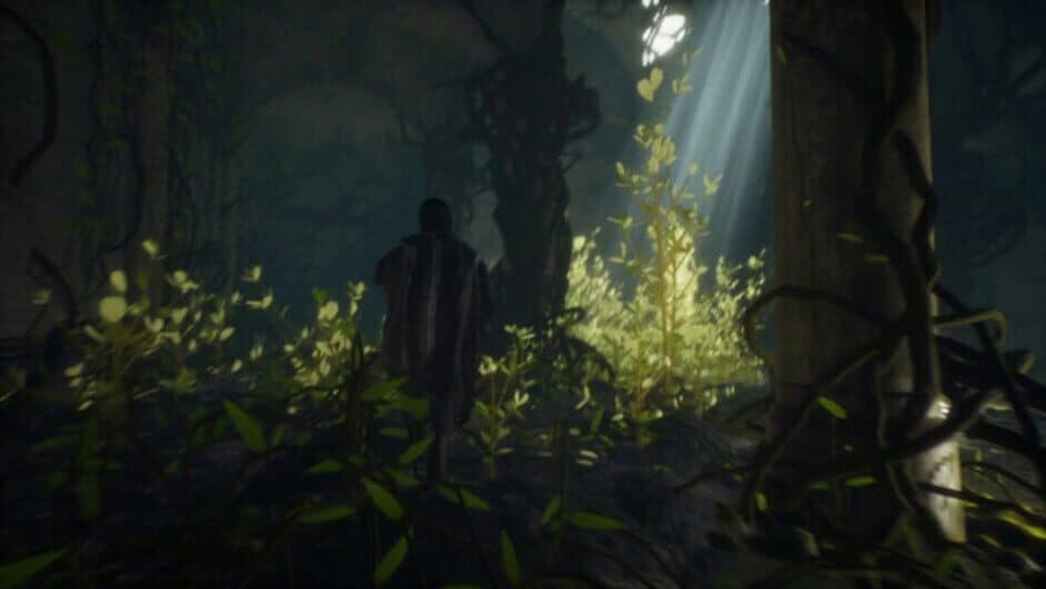 Curilemu screenshot 7