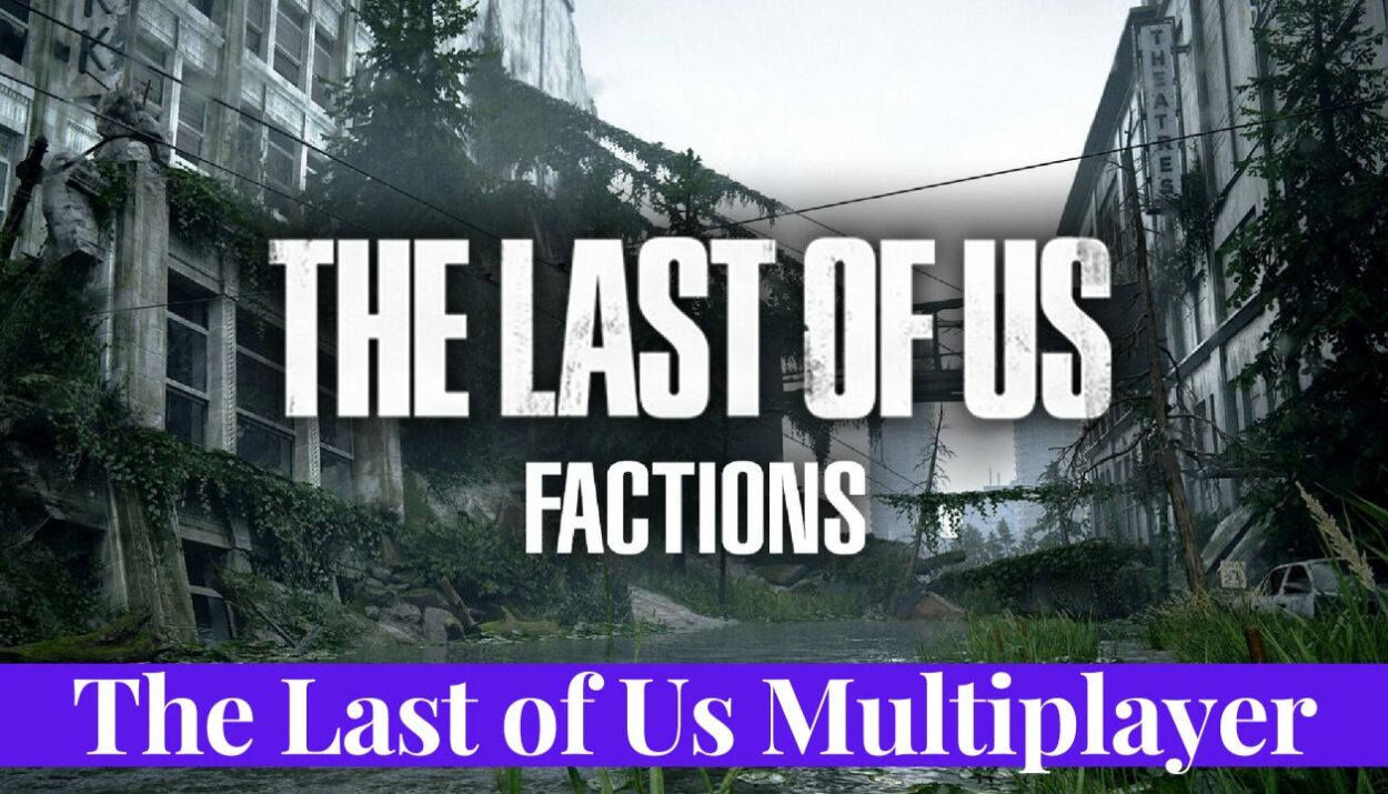 The Last of Us multiplayer
