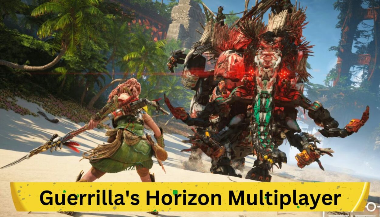 Guerrilla's Horizon Multiplayer