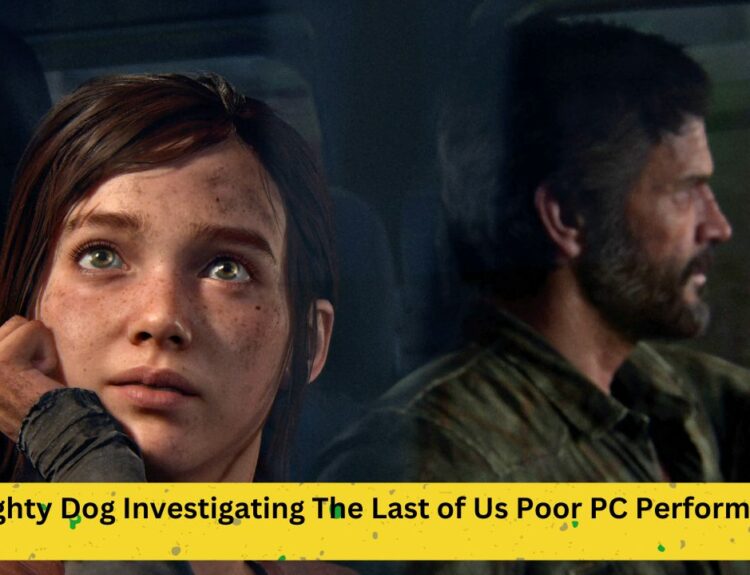 The Last of Us Poor PC Performance