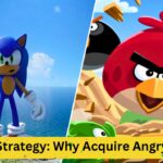 Sega's Strategy: Why Acquire Angry Birds?