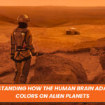 Understanding How the Human Brain Adapts to Colors on Alien Planets