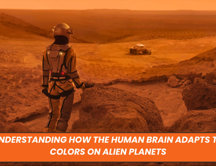 Understanding How the Human Brain Adapts to Colors on Alien Planets